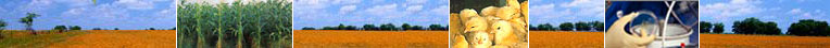 Random Images that represent what the USDA offers